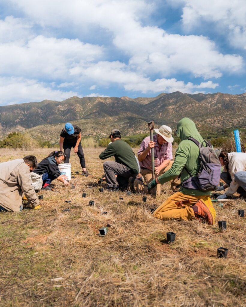 Group of people planting saplings in a grassy field with mountains in the background.